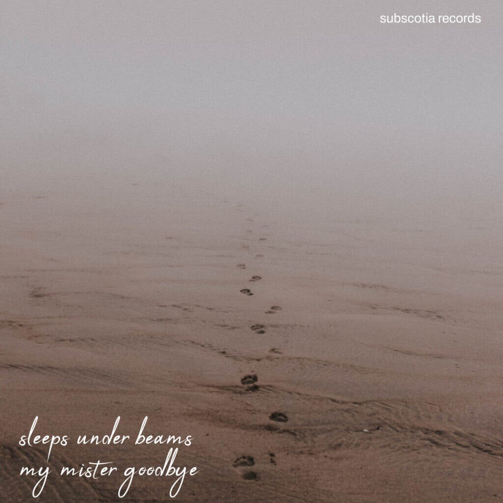 My Mister Goodbye