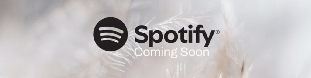 Chasing Beauty coming soon to Spotify